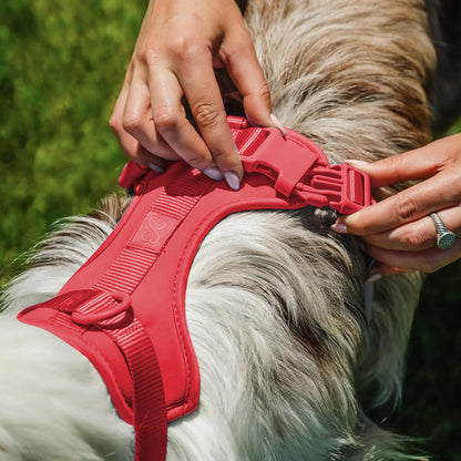 4 Pcs Bundle Waterproof Red